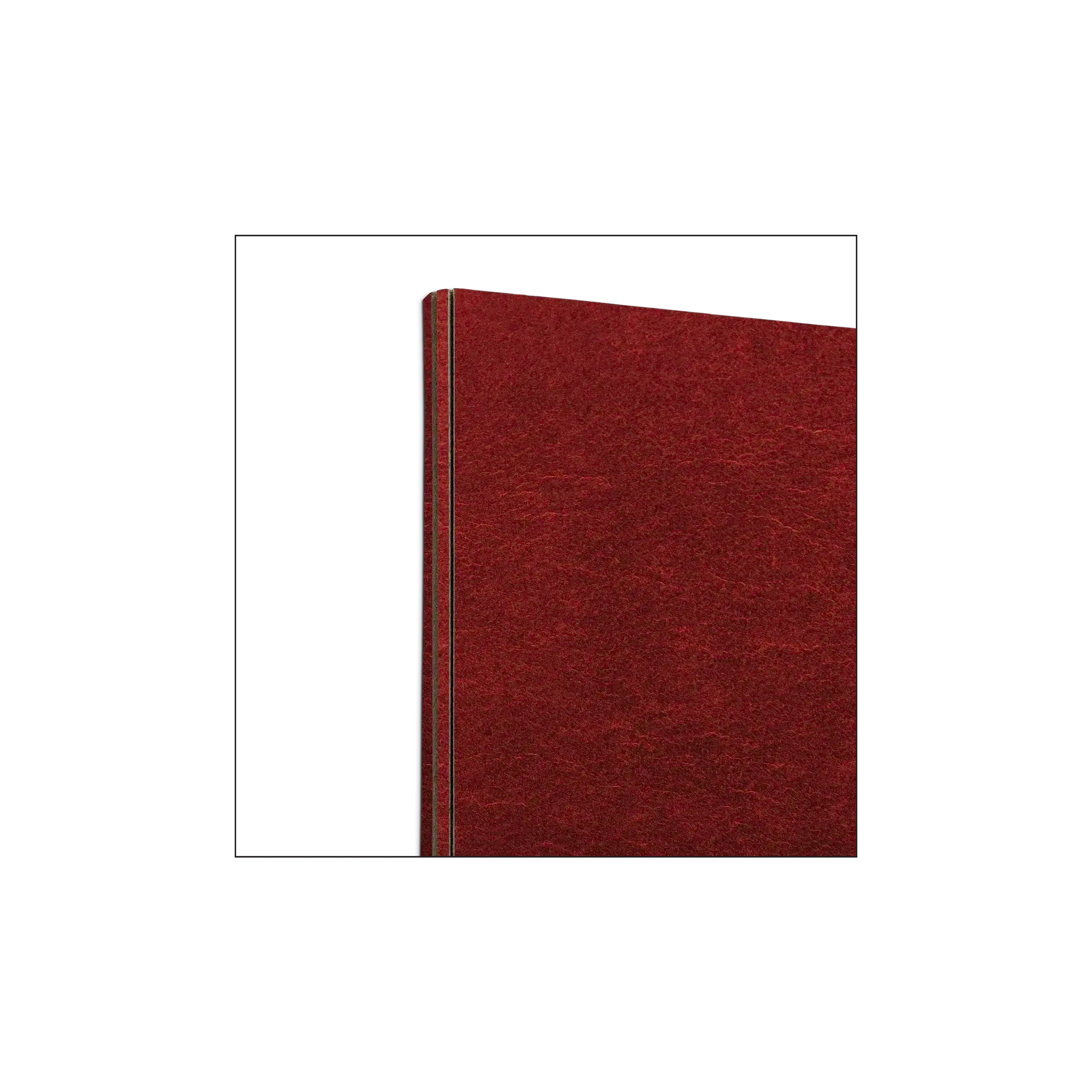 Check Presenter - Folded